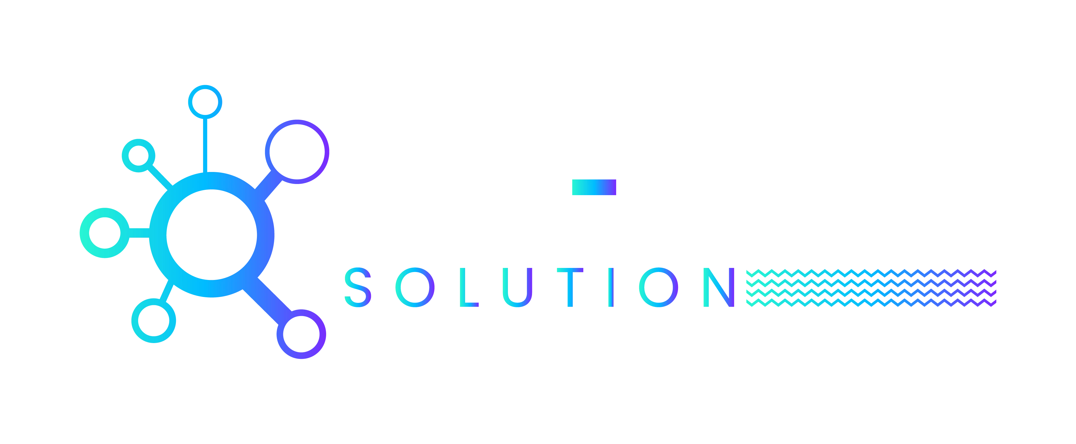 Pulse Digital Solution